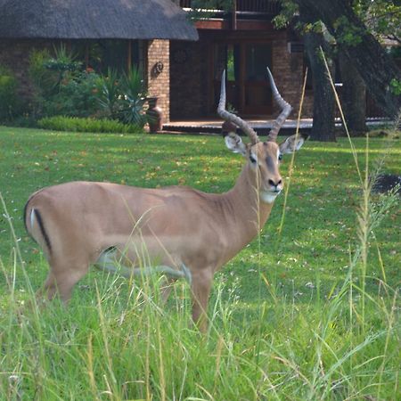 Kruger Park Lodge - Golf Safari Sa Hazyview Exterior photo